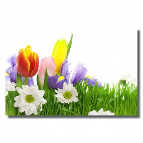 Tranh dán tường Hoa Tươi